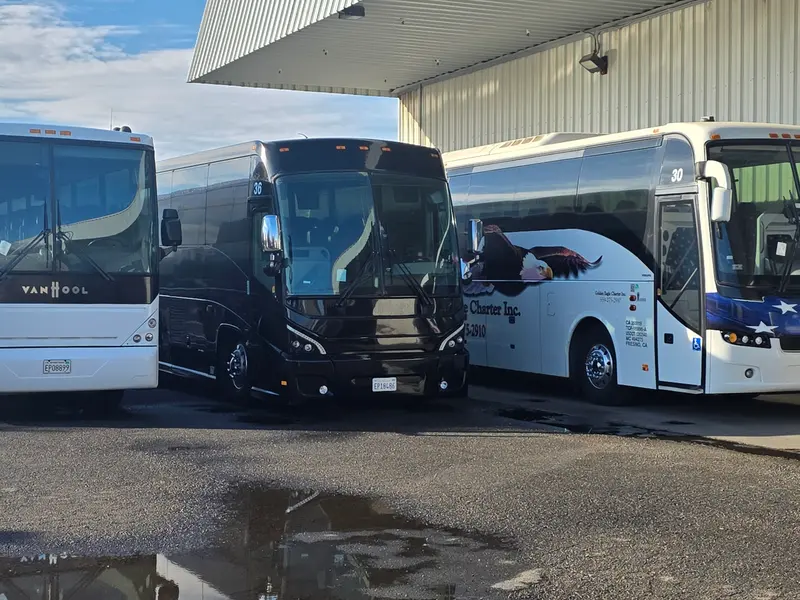 Charter bus fleet parked at the yard